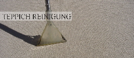 teppichreinigung-Ulm